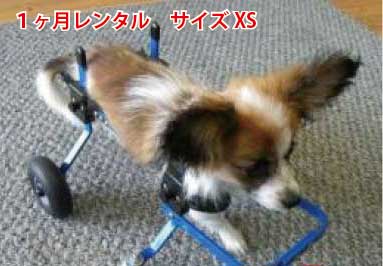 【1カ月レンタル延長】4輪の犬の車椅子 K9カート スタンダード XS・猫 5kg未満 用 犬の車椅子 ミニチュア ダックス トイプードル【介護用品】 老犬 高齢犬 わんケア 犬用 車椅子 車いす カート…