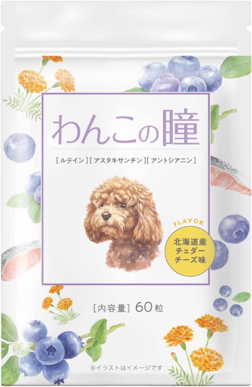 犬 ペット 目 サプリメント 無添加 送料無料 60粒 シニア 涙やけ 目の健康維持 ブルーベリー ビルベリー ルテイン アントシアニン アスタキサンチン ルテイン ヒアルロン酸 グルコサミン 獣医師 犬の管理栄養士 監修 わんこの瞳 わんこのサプリ わんちゃんライフ