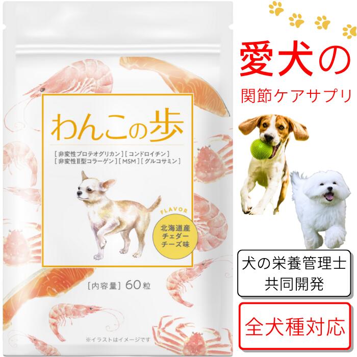 犬 緑イ貝 サプリメント 無添加 国