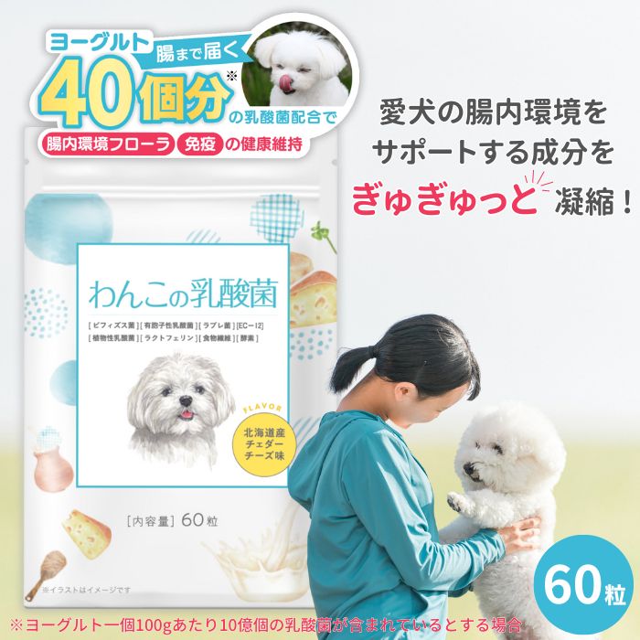 犬 乳酸菌 サプリ 腸内フローラ 改善 無添加 国内製造 60粒 30日分 腸内環境 免疫力 健康維持 整腸 食糞 シニア犬 老犬 全犬種 全年齢 口臭 獣医師 犬の管理栄養士 監修 口内ケア 善玉菌 悪玉菌 ラブレ菌 菌活 腸活 チェダーチーズ味 わんこの乳酸菌 わんちゃんライフ