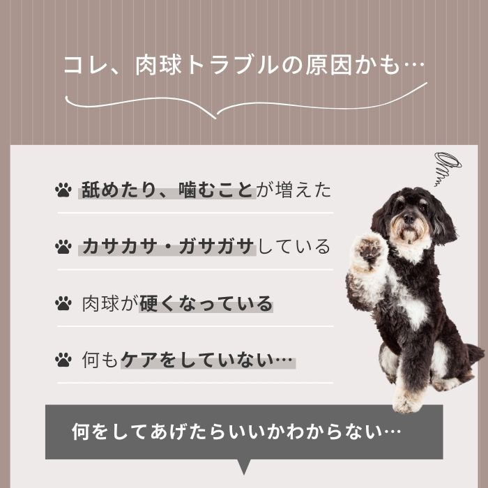 肉球クリーム 犬 猫 完全無添加 送料無料 20g 保護 肉球ケア 滑り止め みつろう 舐めても安心 転倒防止 シニア犬 老犬 足裏 ひび 割れ 高保湿 乾燥 オーガニック シアバター ホホバオイル オリーブオイル 全犬種 全年齢 シアわせのみつろうバーム わんちゃんライフ 3