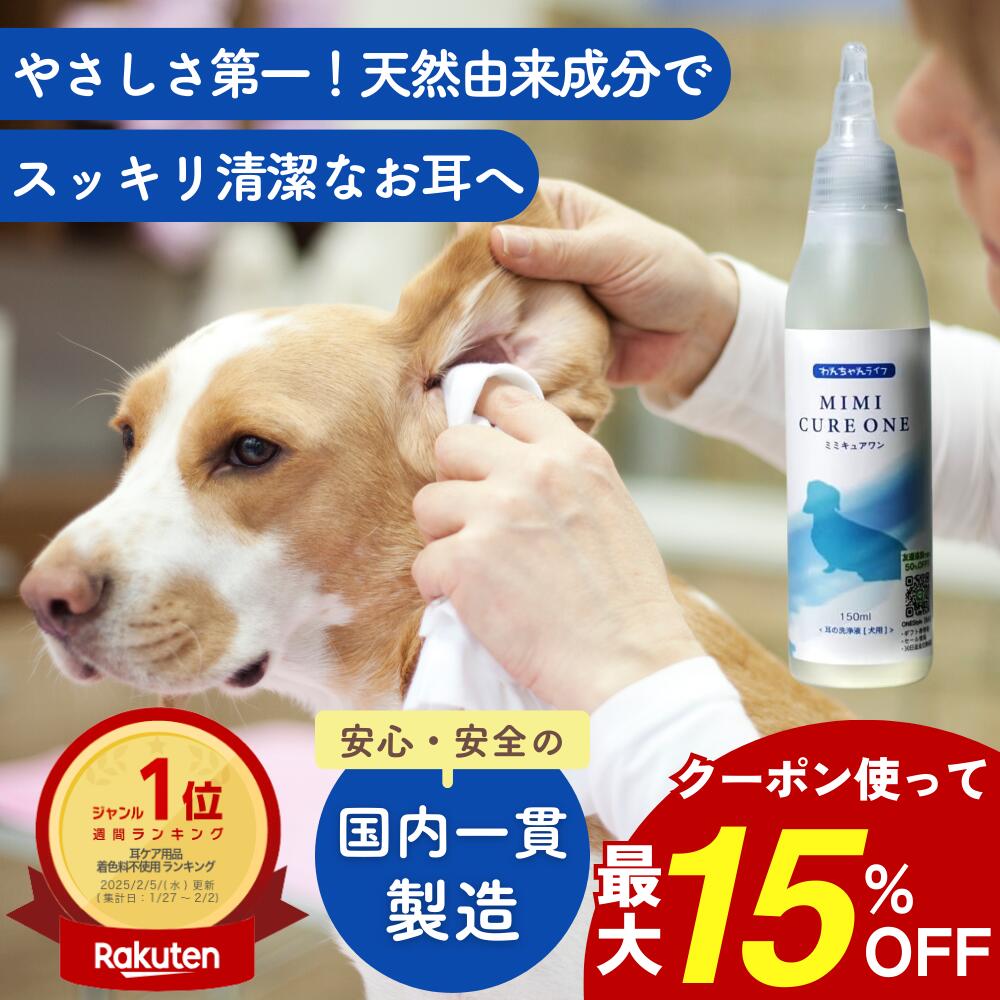 ＼最大15%OFF★特別クーポン／イヤー