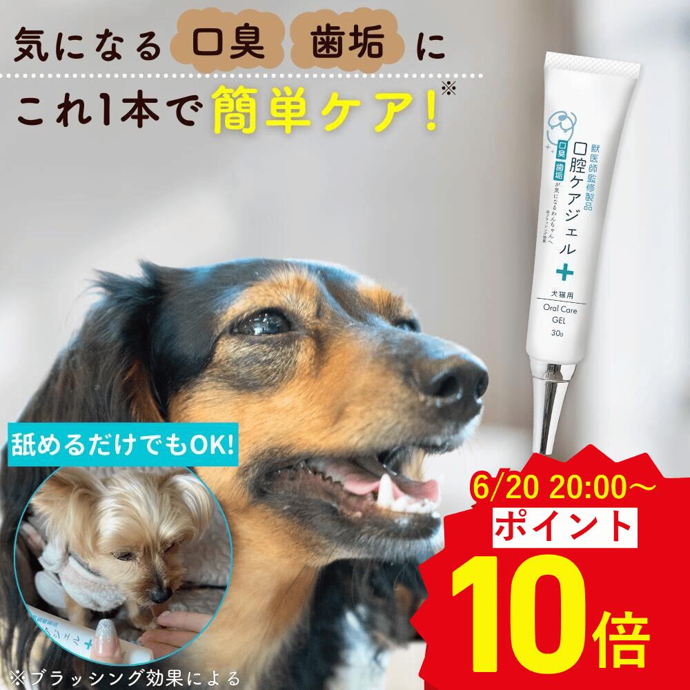 【ポイント10倍】犬 歯磨き 歯磨き粉 犬 歯磨きジェル 腸内ケア 口腔ケア 歯 歯茎の健康維持 汚れ 臭い デンタルケア 気になる 口臭 に 犬用 歯垢 ペット 無添加 愛犬 歯磨き粉 はみがき 全犬種 ペット用口腔ケアジェル 30g