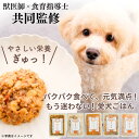 犬 手作り ごはん トッピング ドッグフード 国産 獣医師 食育指導士 監修 総合栄養食 ウェットフード シニア 老犬 消化 たんぱく質 美味しい 全犬種 全年齢 【デイリーレシピ】 わんちゃんライフ