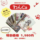 【8/31までの特別価格!送料無料!】絵合わせトランプ「わんCa」 トイプードルver. 絵合わせゲーム ワンコ 犬 いぬ ドッグ かわいい 動物 写真 超絶難...