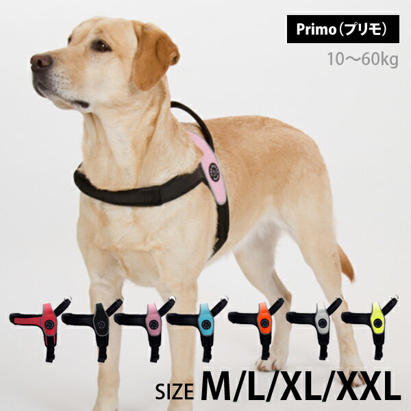 Primo（プリモ）は中型犬、大型犬のために開発されたハンドル付きハーネス！水泳 介護 補助 オールラウンド 10?60kg