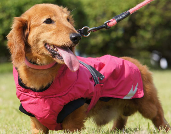 Hurtta フルッタ ドッグコート Summit Parka レインコート 中型犬 サミットパーカー 大型犬用 犬服 コート ドッグウィンタージャケット 全4色 犬用 冬用 ドッグレインコート ＜ネコポスまたはゆうパケット＞