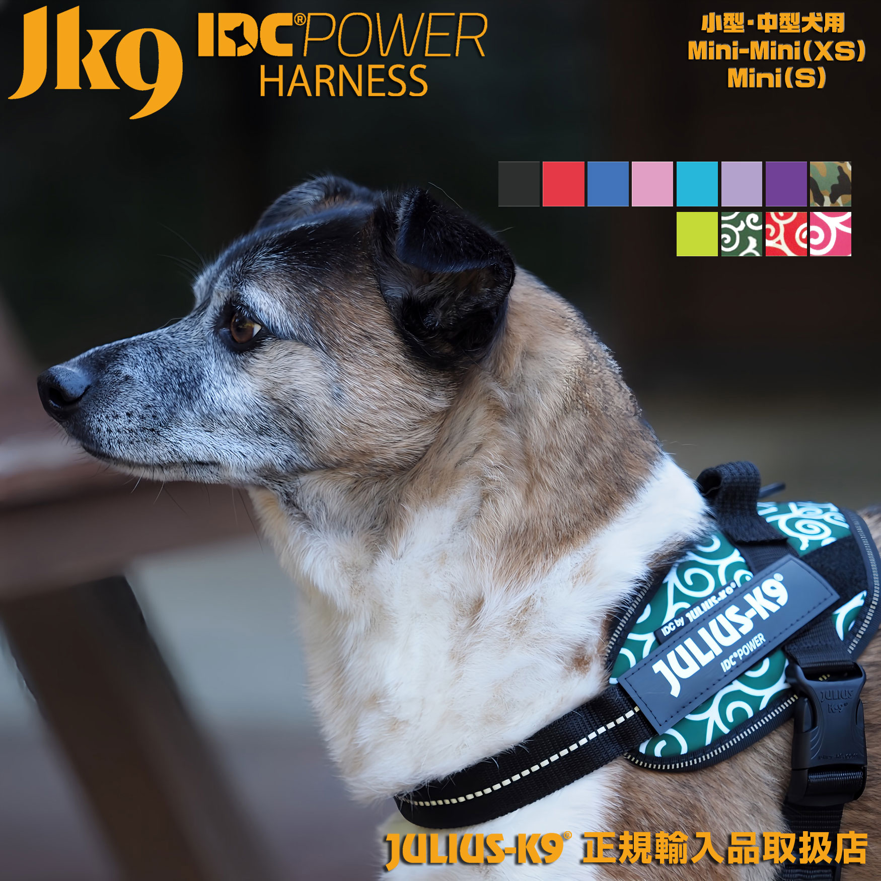 IDCパワーハーネス Mini Mini/Mini ハーネス 犬 胸囲40〜67cm 全21色 Julius-K9 ユリウスケーナイン ユリウスK9 犬用ハーネス 小型犬 中型犬 ユリウスk9 犬用 胴輪 [ネコポスまたはゆうパケット送料無料]【カラー：シリーズ1】