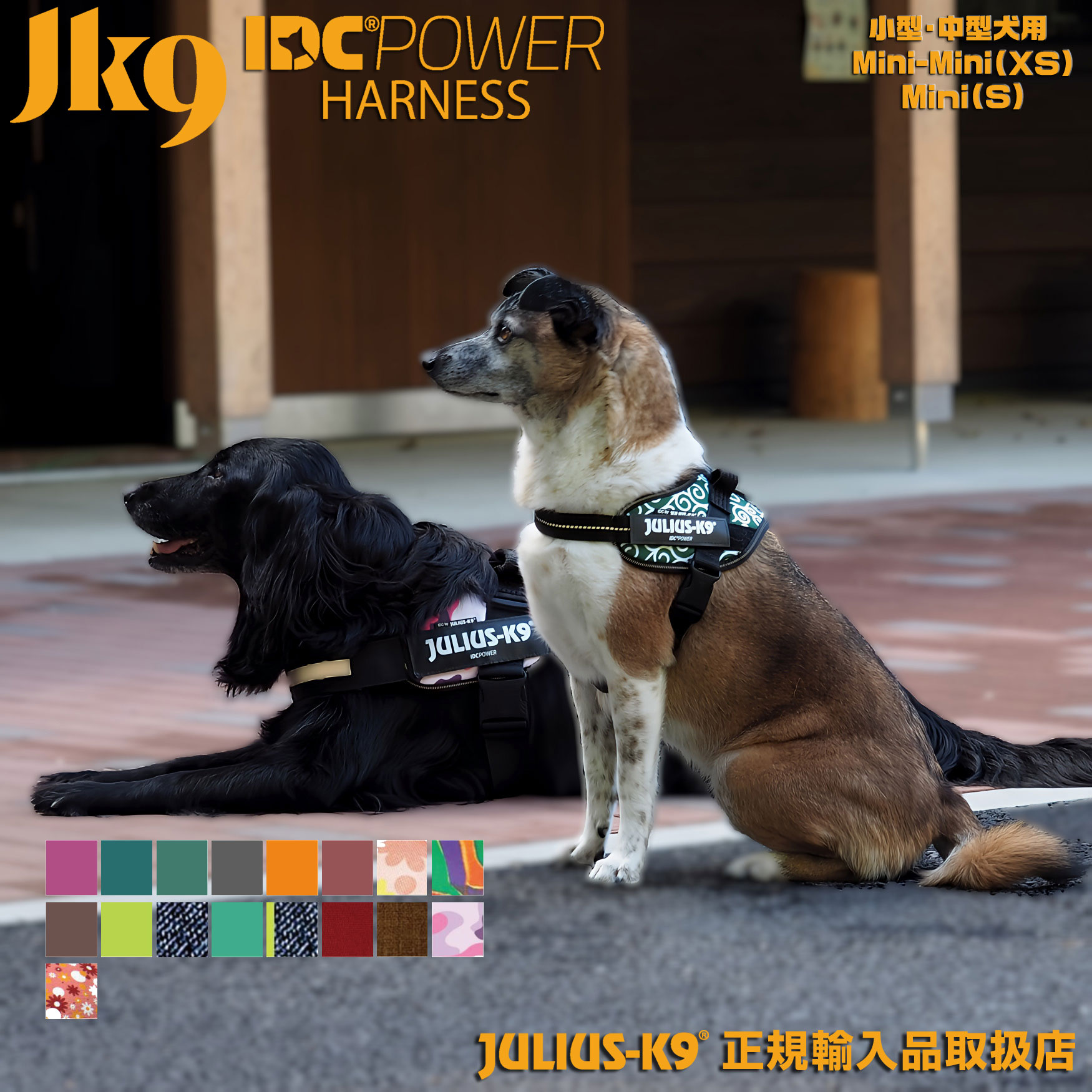 IDCパワーハーネス Mini Mini・Mini 胸囲40-67cm  Julius-K9 ユリウスケーナイン ユリウスK9 ハーネス 犬 ユリウスk9 小型犬 中型犬 犬用ハーネス 犬用 胴輪 
