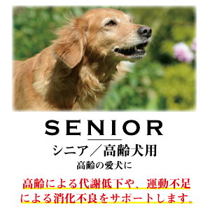 ウサギ肉使用 犬用品 国産ドッグフード 合成保存料 着色料 香料無添加 Wanfoo ナチュラル系ドッグフード 安心安全の日本製 高齢犬用 Wanfoo ワンフープレミアムドッグ ウサギ肉 鶏肉タイプ シニア 高齢犬用 6kg 0g 30袋入り シニア期の代謝サポート 運動不足の ウサギ肉使用 犬用品 国産ドッグフード 合成保存料 着色料 香料無添加 Wanfoo ナチュラル系ドッグフード 安心安全の日本製 高齢犬用 Wanfoo ワンフープレミアムドッグ ウサギ肉 鶏肉タイプ シニア 高齢犬用 6kg 0g 30袋入り シニア期の代謝サポート 運動不足の