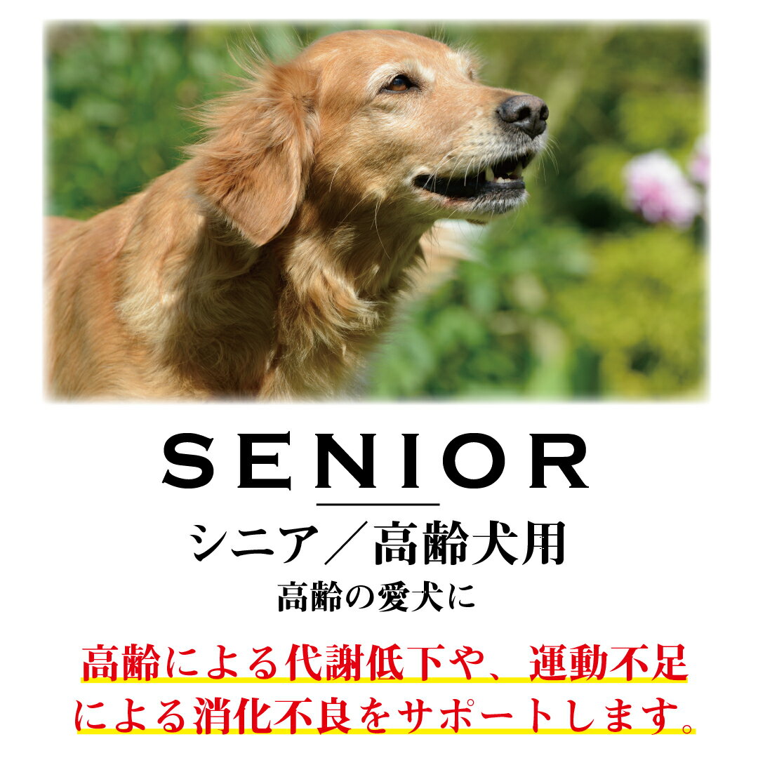 ウサギ肉使用 犬用品 国産ドッグフード 合成保存料 着色料 香料無添加 Wanfoo ナチュラル系ドッグフード 安心安全の日本製 高齢犬用 Wanfoo ワンフープレミアムドッグ ウサギ肉 鶏肉タイプ シニア 高齢犬用 6kg 0g 30袋入り シニア期の代謝サポート 運動不足の