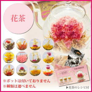 【2018年★母の日/送料無料】4.花煎餃(バラ点心/薔薇餃子/花餃子/フラワー餃子/バラ餃子)+小籠包のセット!横浜中華街王府井(わんふーちん)からお届け。焼き小籠包と蒸し小籠包入り!オリジナルギフトカード+ギフトボックス付き♪