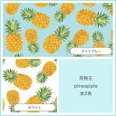 メッシュ生地　完熟王pineapple【大好評！！発売発送中です】