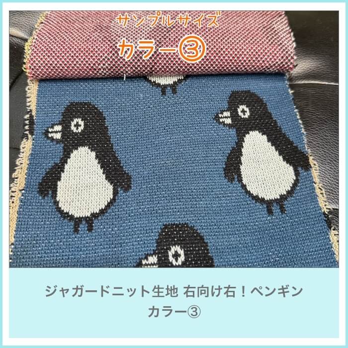 ジャガードニット生地 右向け右！ペンギン 3