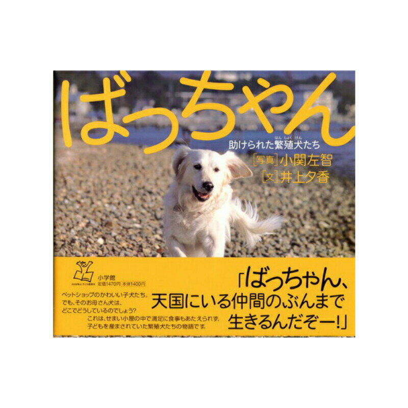 ばっちゃん助けられた繁殖犬たち本ゴールデンレトリバー ゴールデン夏休み宿題 感想文 小学生向き　児童書 GR ばっちゃん 本 浜名湖 保護犬 動物愛護