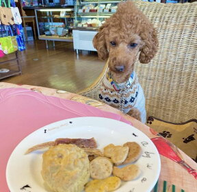 犬 おやつ クッキー 無添加 手作り 選べる味 ラリカンの無添加クッキー 50g x 1袋 安心 安全