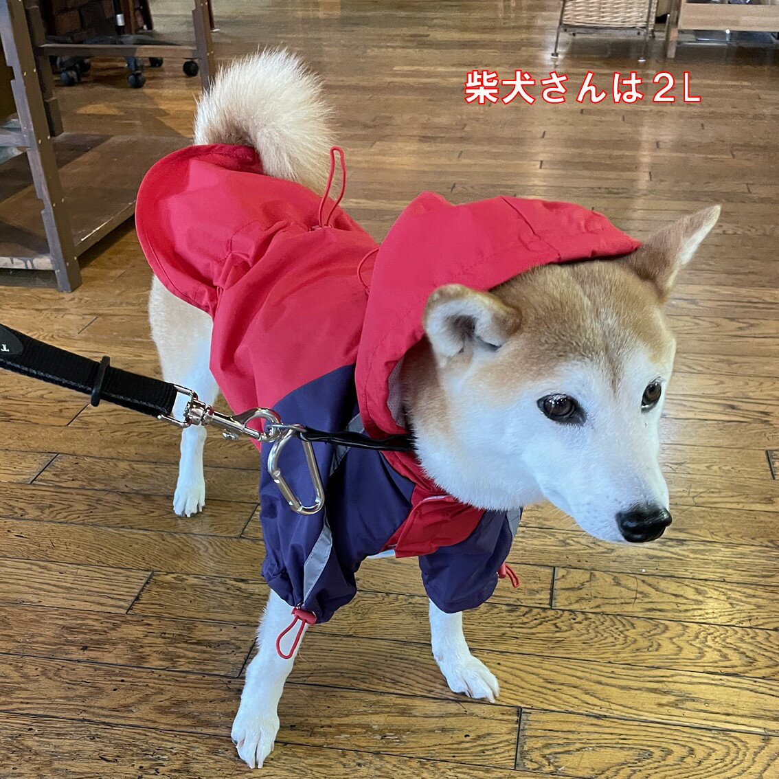 防水加工のフード付きレインコートです 表面は防水加工で雨を完璧にはじく。 裏面にはメッシュで蒸れからワンちゃんを守ります。 胸のマジックテープで着脱もラクラクですマジックテープは幅が広く改造されましたので安心です。 中型犬用 レインコート フード付き 前足を通して着るレインコートです 普通体型の柴犬位 前足、ウエスト、フードの後部とあごの部分はストッパー付きのゴムで調節可能です。 【素材】 表：ナイロン100％ 防水加工 裏：ポリエステルのメッシュ加工 在庫は実店舗と共有しております。 在庫切れの場合もございますので、その際にはご連絡を差し上げております。ご了承お願いいたします。 【2L】サイズ 着丈：約44cm（レインコートの方が長い時はウエストのストッパー付きゴムで調節し、絞ると短く着用できます。） 胸回り：（一番胸の大きな部分の一周）約58〜66cm 首周り：約36〜41cm 参考標準犬種：シェルティー、柴犬