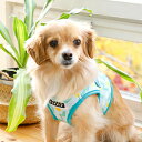 PUPPIA psA tB[gn[lXB  ^p S M LTCY FETE HARNESS B  ybg hbO