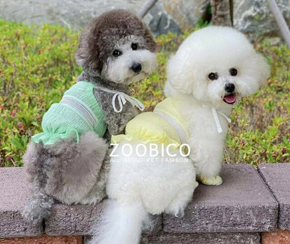 Zoobico ズービコ ジョリー スリーブレス 3色 XS〜XL小型犬用服 韓国ドッグウエアー2022 夏犬服 袖なし犬服