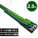 収納付き パターマット 2.5m 自動返球 練習用 ガイドライン付き 2カップ パター練習器具 ゴルフ 室内 自宅 オフィス コンパクト 傾斜付き