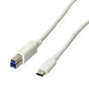 Digio2 USB3.1 Type-CP[u