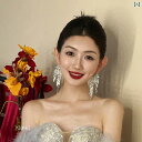 ブライダル アクセサリー ウェディング パーティー 結婚式 花嫁 婦 小物 フル タッセル イヤリング 顔が 小さめ イヤリング ラインストーン ドレス イヤリング