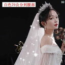 ブライダル アクセサリー ウェディング パーティー 結婚式 花嫁 婦 小物 シャンパン カラー 星空 ベール レディース ヘッド ドレス エクストラ ロング メイン ドレス スーパー フェアリーホワイト テール