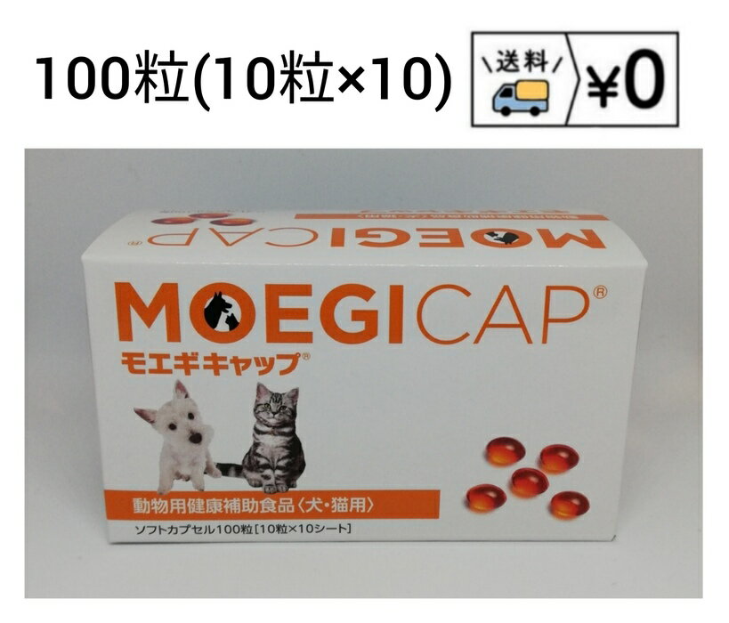 メイベットDC 30包 30日分（体重1kg〜30kg以上 1日2g） Meiji Seika ファルマ 犬用 動物用栄養補助食品 明治 送料無料【ポスト投函便】