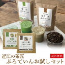 プレゼント プロテイン 抹茶 ほうじ茶 1食分30g 砂糖不使用 日本茶専門店監修 国産 天然素材 ホエイプロテイン ソイプロテイン 大豆プロテイン タンパク質...