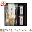 母の日 ギフト 【砂糖不使用 無添加】 ドライフルーツ 国産ジャム スイーツ 【送料無料】果物やの本気・和菓子やの蜜セット いちご ブルーベリー 草津メロン 箱...