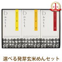 プレゼント ギフト お祝い グルテンフリー 小麦粉不使用 アレルギー対応 アレルギー物質8品目不使用 玄米麺 国産 パスタ 麺 米粉 発芽玄米 めん ジャージャ...