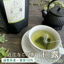 プレゼント お茶 近江なごみ茶 玉露 ティーバッグ (3g×8個) 手軽に楽しめるティーバッグで 緑茶 煎茶 おいしい お試し お手軽 日本茶 国産 滋賀県産 ホット アイス 水出し チャック付き袋 プレゼント