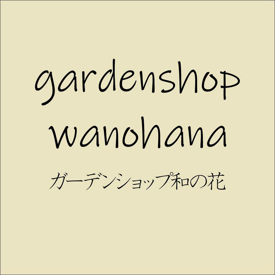 Shop icon