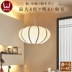 https://thumbnail.image.rakuten.co.jp/@0_mall/wanon/cabinet/lamp/07418322/daen_l_20231_kensaku.jpg