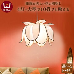 https://thumbnail.image.rakuten.co.jp/@0_mall/wanon/cabinet/lamp/07418322/imgrc0084530145.jpg