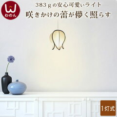 https://thumbnail.image.rakuten.co.jp/@0_mall/wanon/cabinet/lamp/07418322/tubomi_kensaku_2.jpg