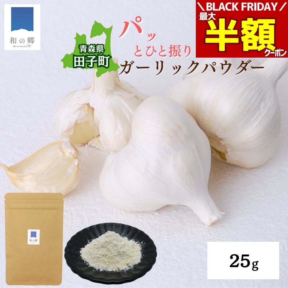 BLACK FRIDAY＼最大半額クーポン＆20日.25日ポイント5倍／ガーリックパウダー 25g 1000円ポッキリ 送料..