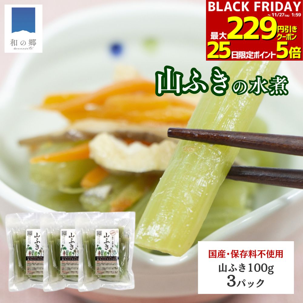 BLACK FRIDAY★最大229円引きクーポン27日1:59まで！山菜 ふき 水煮 100g 3パック 秋田 国産 天然 山ふき 国産山菜 秋田県産 天然山菜 山菜水煮 保存料不使用 着色料不使用 山の幸 ポイント消化 買いまわり メール便 送料無料
