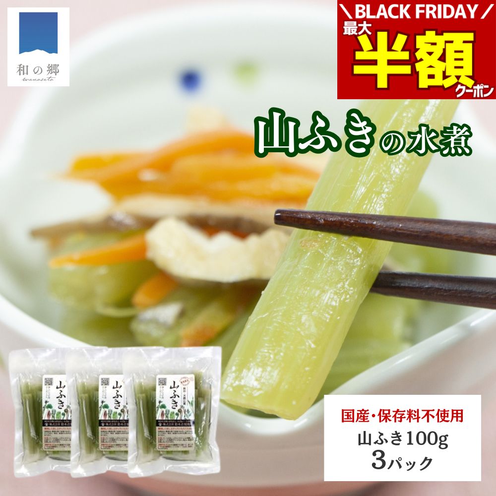 BLACK FRIDAY＼最大半額クーポン＆20日.25日ポイント5倍／山菜 ふき 水煮 100g 3パック 秋田 国産 天然 山ふき 国産山菜 秋田県産 天然山菜 山菜水煮 保存料不使用 着色料不使用 山の幸 ポイント消化 買いまわり メール便 送料無料