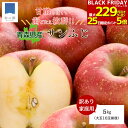 BLACK FRIDAY最★大229円引きクーポン27日1:59まで!2025年摘みたて 12月出荷 青森 りんご 訳あり サンふじ 家庭用 5kg 大玉 10...
