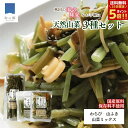 【25日全品対象!ポイント5倍】山菜 水煮 3種セット 秋田 国産 山菜ミックス ふき わらび 国産山菜 秋田県産 天然 天然山菜 山菜水煮山ふき ワラビ 蕨 保存料不使用 着色料不使用 ポイント消化 買いまわり メール便 送料無料