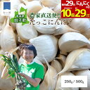 【29日全品対象!最大29%OFF&ポイント10倍】新にんにく 青森 田子 にんにく バラ250g / 500g【+増量】小粒 1000円ポッキリ 送料無料 新ニンニク 田子にんにく 健康 元気 バラにんにく 便利 甘い たっこにんにく ニンニク