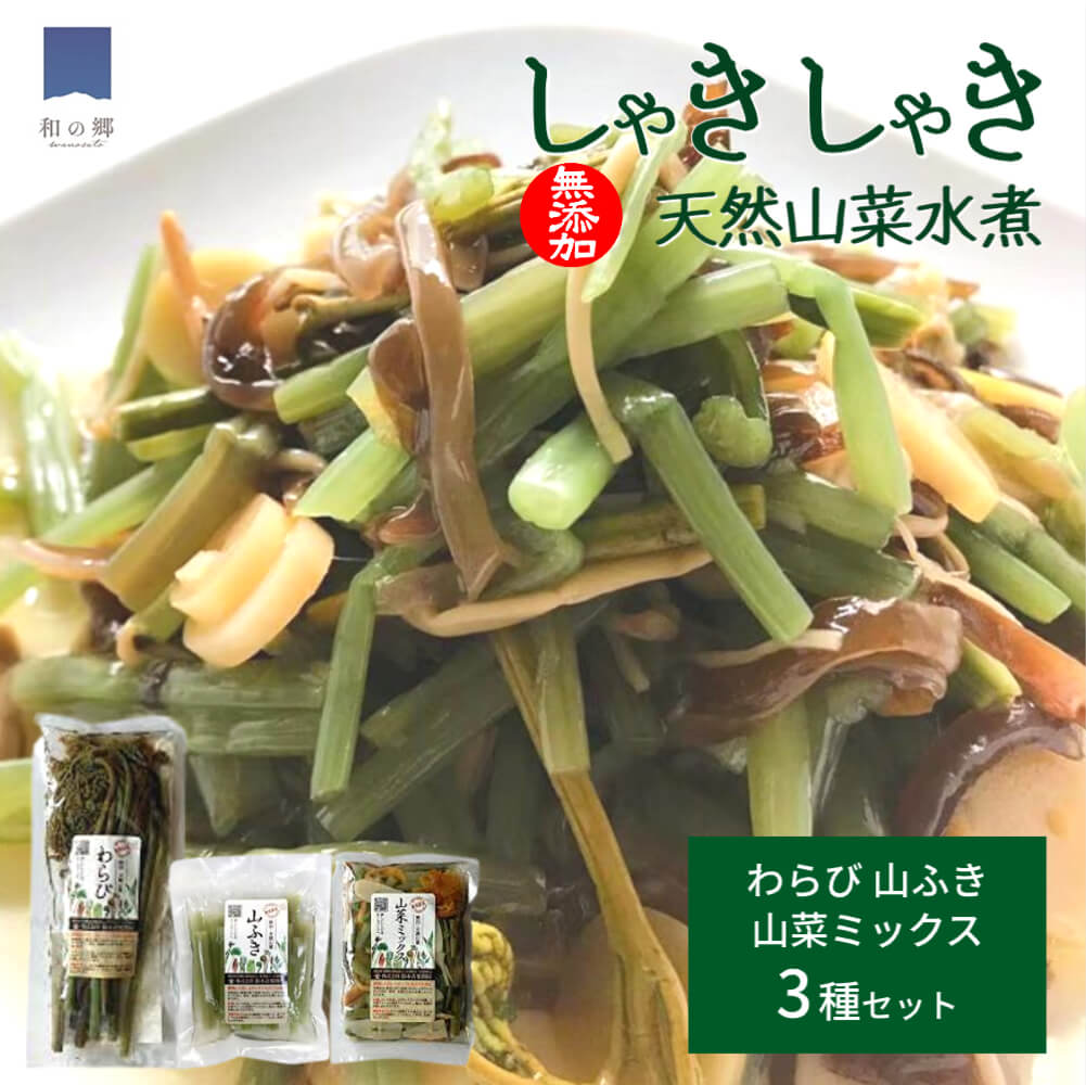 国産 山菜 水煮 3種セット 秋田 無添加 山菜ミックス ふ