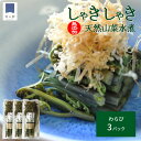 山菜 わらび 水煮 80g 3パック 1000円