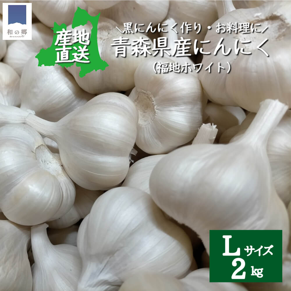 にんにく 青森 2kg Lサイズ 約15玉×2 産地直送 2023年 令和5年 ニンニク 国産 青森県産 福地ホワイト 福地ホワイト六片 甘い 美味しい 免疫 健康 元気 黒にんにく まとめ買い お得 送料無料 1