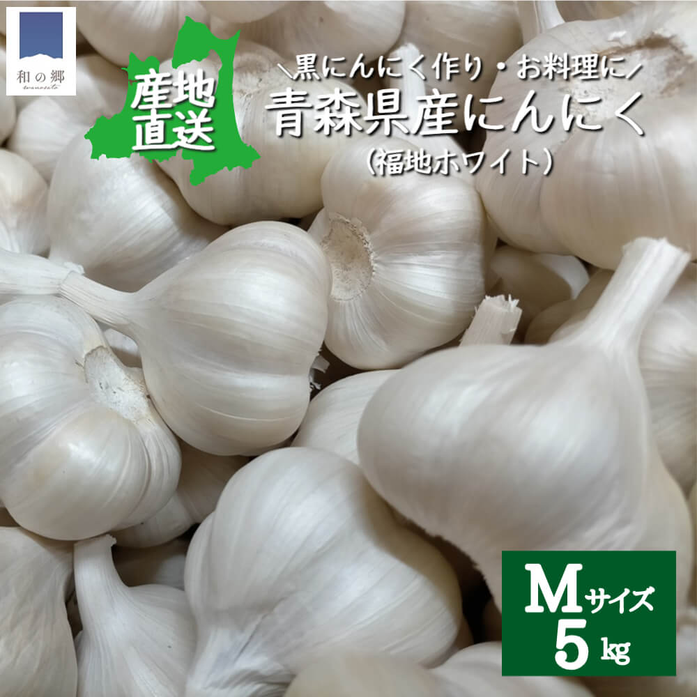 にんにく 青森 5kg Mサイズ 約20玉×5 産地直送 2023年 令和5年 ニンニク 国産 青森県産 福地ホワイト 福地ホワイト六片 甘い 美味しい 免疫 健康 元気 黒にんにく まとめ買い お得 送料無料