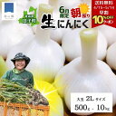 【早割10%OFFクーポン!5/14まで&5日ポイント5倍】掘りたて 新鮮 青森 田子 生ニンニク 大玉 2Lサイズ 500g~10kg 2025年 令和7年 ...
