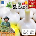 【早割10%OFFクーポン!5/14まで&5日ポイント5倍】朝採り 青森 田子 生ニンニク MLサイズ混合 500g~10kg 2025年 令和7年 掘りたて ...