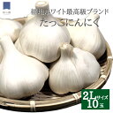 田子 にんにく 大玉 2Lサイズ 10玉 福地ホワイト 産地直送 送料無料 田子 ニンニク 令和5年 2023年 国産 田子にんにく 田子ニンニク たっこにんにく 青森 甘い 美味しい 免疫 健康 元気 お取り寄せ 御歳暮 お歳暮 ギフト 贈答