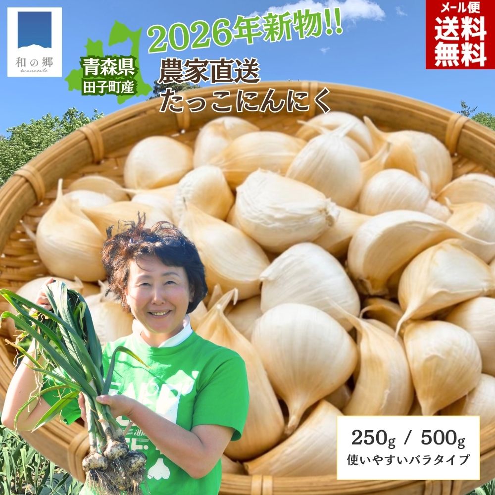 楽天市場】新 ニンニクの通販